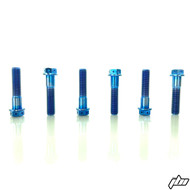 JBI Titanium Rainbow Bolts