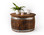 Rustic round wine barrel coffee table with reclaimed wood top