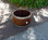 Rustic center wine barrel planter 26x17 inches with stain and black screws – recycled oak garden pot.