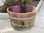 This planter is a 1/2 barrel section and has a wide variety of uses. Excellent for showing your beautiful flowers.