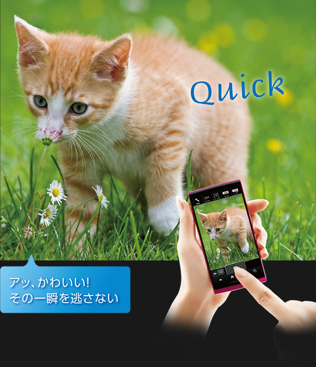 Kyoex - Shop Buy Docomo Sharp SH-01E Vivienne Westwood Unlocked