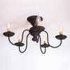 Thorndale Ceiling Light in Black