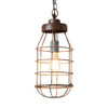 Industrial Cage Light Pendant