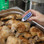 Waterproof Thermometer reading chicken temperature
