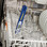 Dishwasher Safe