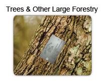 Tree and Other Large Forestry