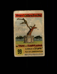 1953 RIPLEYS BELIEVE IT OR NOT PARKHURST #99 THE TREE OF KNOWLEDGE *R2037