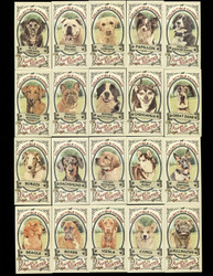 2019 ALLEN & GINTER'S COLLECTIBLE CANINES COMPLETE 25 CARD SET MINI