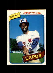 1980 JERRY WHITE O-PEE-CHEE #369 EXPOS *R5840