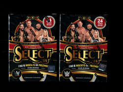 2024 SELECT WWE HOBBY BLASTER 2 BOX LOT