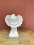Angel Size: 10cm

Top Benefits Of Selenite:

-Cleanses And Purifies Its Environment

-Clears Negative Energy

-Cleanses And Charges Other Crystals

-Self-Cleasing

-Its Calming Properties Makes It Ideal For Meditation And Spiritual Work

-Enhances Team Spirit In Groups And Organisation

-Perfect Crystal For Gridding The Home Or Property