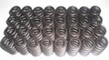 CMS 4V Stage 3 Spring Kit - .500" lift 