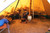 Safir 15 cp - Canvas Tent