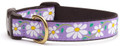 Violet Daisy Dog Pet Premium Ribbon Collar