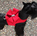 Tinkie's Garden Red Ultrasuede Velcro Harness with Nouveau Bow and Swarovski Crystals