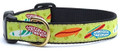 Surfboards Premium Ribbon Dog Collar by Up Country