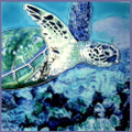 Tile Craft Glossy Sea Turtle Ceramic Art Trivet 8 x 8