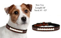 CLOSEOUT SALE!! Atlanta Falcons Classic Leather Dog Collar