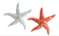 Set of Two Assorted Glittery Starfish Ornaments by Gallerie II