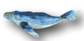 Silver Plated Blue Humpback Whale Enamel Ornament