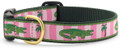 Preppy Pink Alligator Pet Dog Collar by Up Country