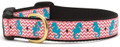 Aqua & Pink Seahorse Pet Dog Collar by Up Country 