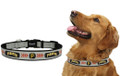 Officially Licensed  Pittsburg Pirates MLB Reflective Dog Collar Size Medium