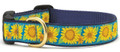 Sunflower Premium Ribbon Dog Collar