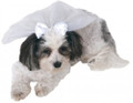 Dog Pet Wedding Veil with Bling for Weddings / Engagements