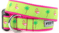Pink and Green Flamingos & Palms Florida Style Dog Collar by Worthy Dog