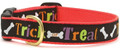 Halloween Trick or Treat Premium Ribbon Pet Dog Collar by Up Country