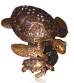 Mother & Baby Brown Sea Turtles Bejeweled Trinket Box w Matching Necklace