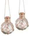 Set of Two Sea Side Shells in Glass Float Hanging Christmas Holiday Ornaments
