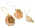 Set of 3 Assorted Christmas Holiday Beaded Seashell Ornaments