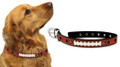 Officially Licensed Cleveland Browns Classic Leather Dog Collar