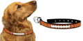 Officially Licensed NFL Cincinnati  Bengals Classic Leather Dog Collar