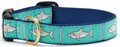 Light Blue Shark Premium Ribbon Dog Collar by Up Country Sizes M - L