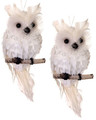 Set of 2 - 5" Tinsel Ice White & Silver  Feathered Owl Christmas Ornaments by Regency International