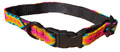 Bright Colors Premium Vegan Hand Woven by Mayans Dog Collar by Heka Pet - Size M/L 2