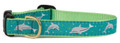 Dancing Dolphins Premium Ribbon Dog Collar by Up Country
