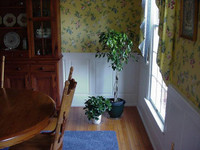Wainscoting panels add elegance in dining room.