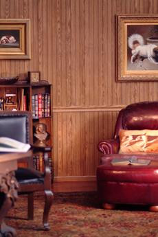 For tall ceilings use two cut panels, hiding the joint with a chair rail!