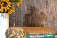 Close up of our weathered cedar paneling.  Fine grain details