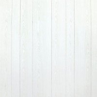 seashore in white paneling