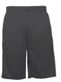 Badger Digital Panel short
