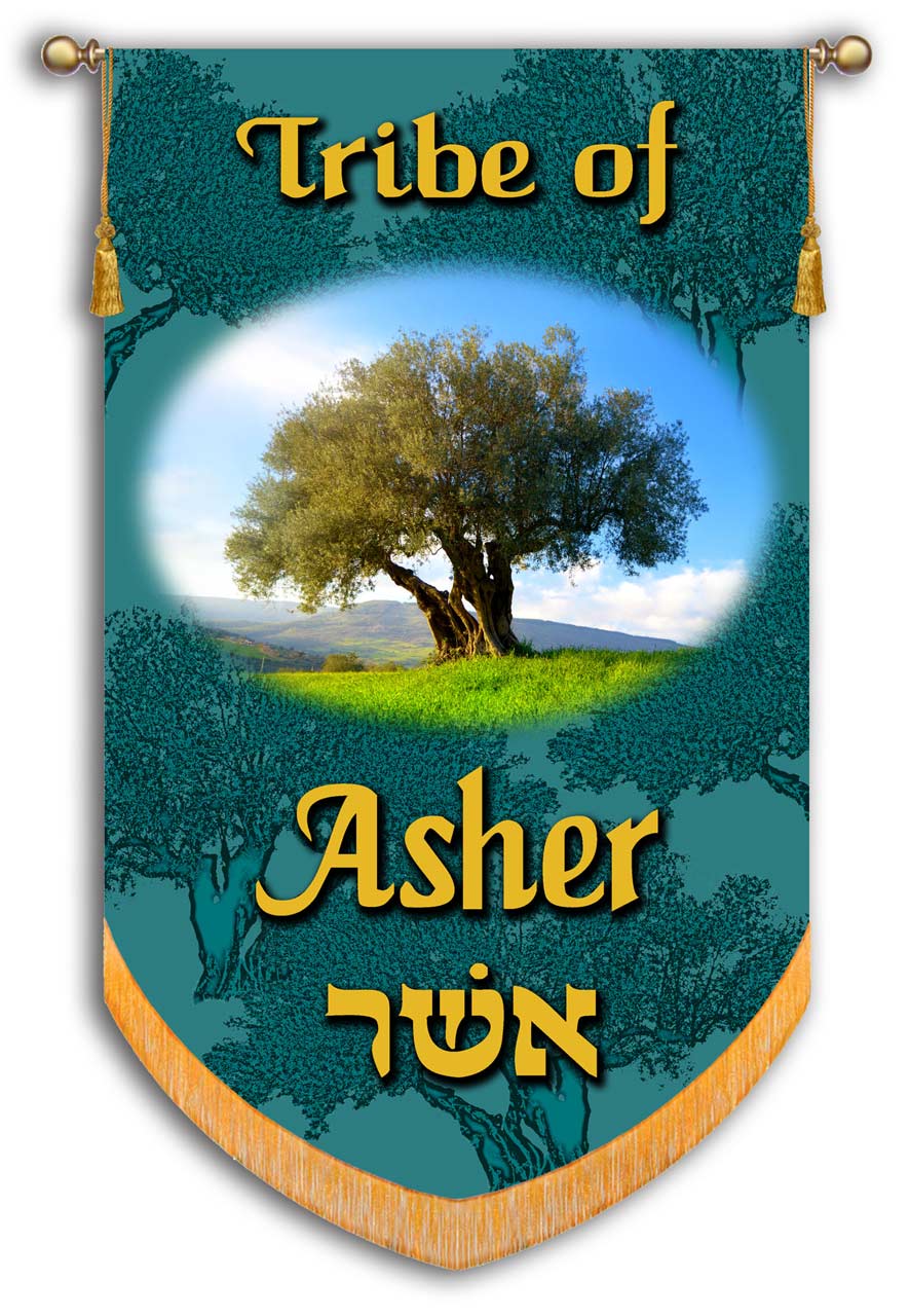 Asher one of the 12 Tribes of Israel