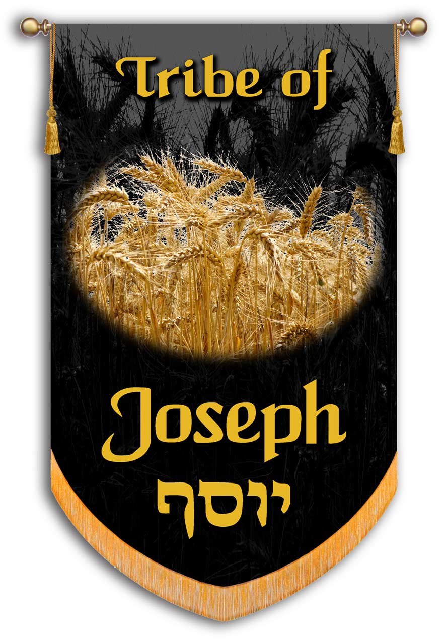 Tribe of joseph symbol