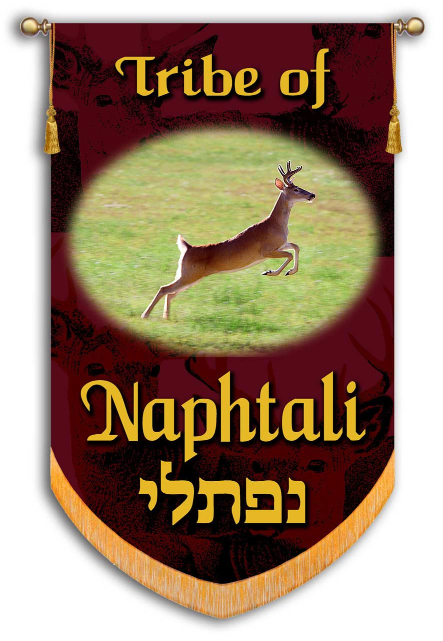 pin-en-israel-tribe-of-naphtali