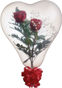 heart shaped qualatex stuffing balloon