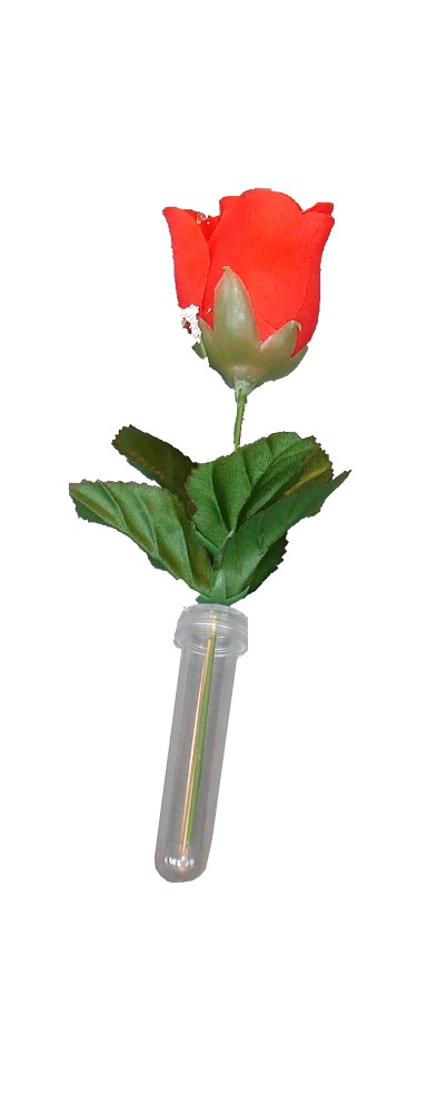 water-vials-aquatube-with-rose.jpg